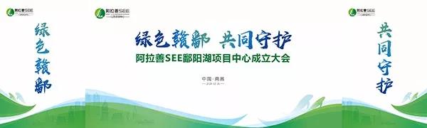 1571304556794503.jpg 07.jpg