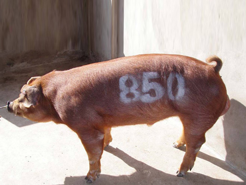 1569728527562214.jpg 7472414600.jpg